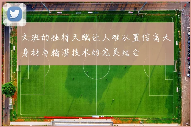 文班的独特天赋让人难以置信高大身材与精湛技术的完美结合