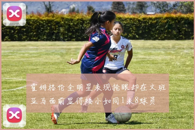 霍姆格伦全明星表现抢眼却在文班亚马面前显得矮小如同1米8球员